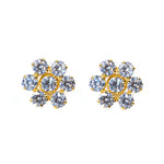 Golden Zircon Sublime Earring