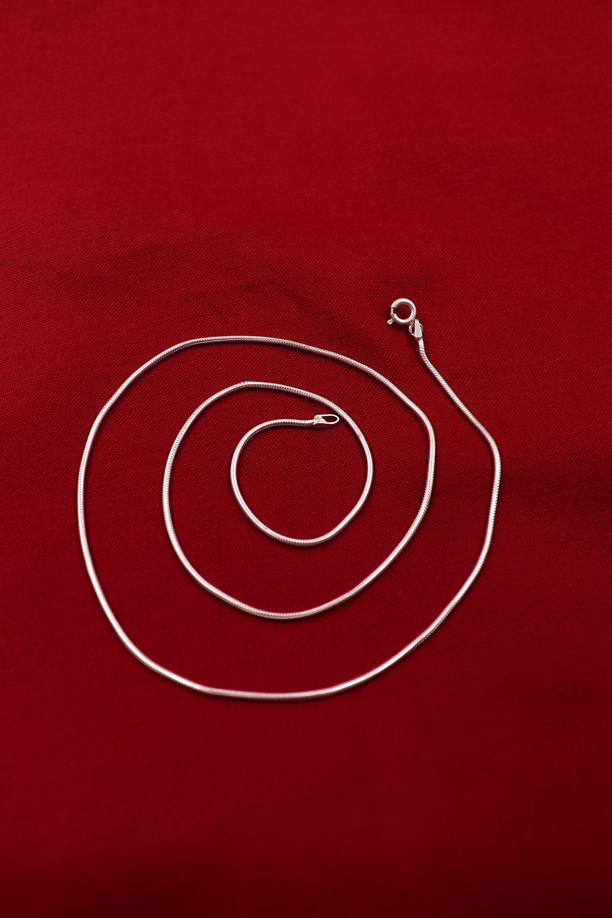 Silver Snake Regal Chain